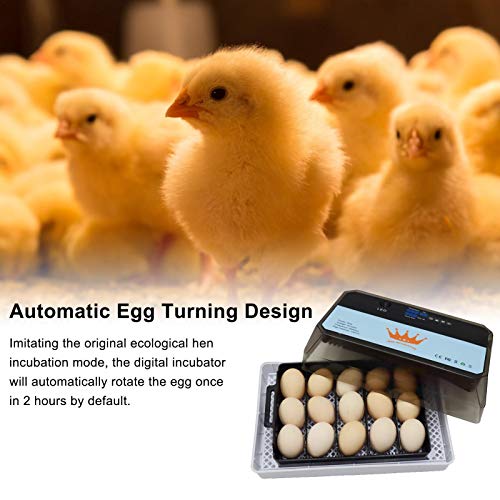 YJYQ Brutmaschine Vollautomatisch 15 Hühner Eier Brutgerät, Intelligent Brutautomat Motorbrüter mit LED – Bild 3