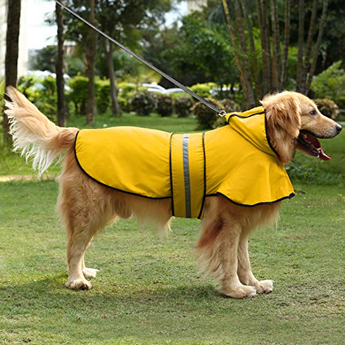 The Best Clothing for Golden Retrievers Dress Your Dog Up for the Day My Golden Retriever