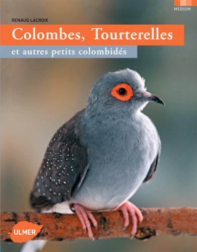 Colombes, tourterelles