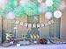 Sogorge 19 Pcs Party Decoration Kit White Mint Green Tissue Paper Pom Poms Flowers Papers Lanterns Birthday Wedding Christening Frozen Theme Party Decorations for Adults Boys Girls