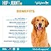 WagWorthy Naturals Advanced Hip and Joint Supplement for Dogs with Chondroitin, MSM and Glucosamine for Dogs, Improves Mobility, Arthritis Pain Relief for Dogs, 60 Chewable Tablets, Made in USA