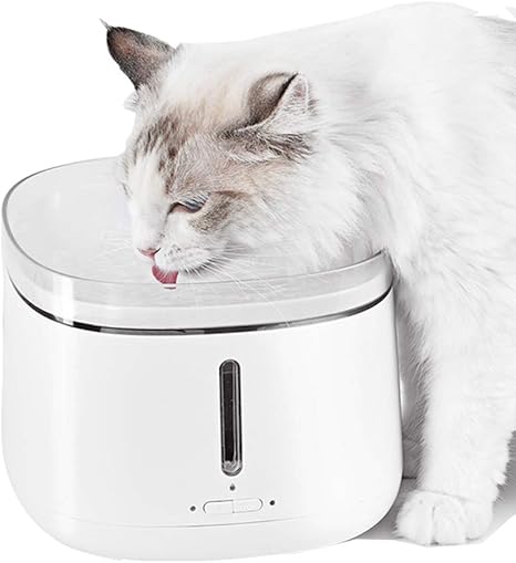 Amazon Co Jp 猫と犬の水飲み場 スマートループフィルターペットの水飲み場 犬 猫の噴水飲み水飲み場 ホーム キッチン Amazon Co Jp 猫と犬の水飲み場 スマートループフィルターペットの水飲み場 犬 猫の噴水飲み水飲み場 ホーム キッチン