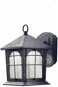 Home Decorators Collection Aged Iron Outdoor LED Wall Lantern