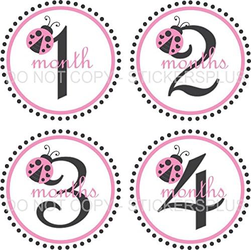 Baby Girl Month Stickers Monthly Baby Milestone Stickers Ladybug Lady Bug Dots Pink Black