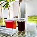 SafeWare Clear Disposable Plastic Cups 16oz with Flat Lids and Straws, Togo Disposable Iced Coffee Cups - Ideal for Party, Outdoor Picnic, BBQ, House Party, Restaurant Quality - 100 Sets