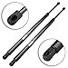 ECCPP Lift Support Liftgate Replacement Struts Gas Springs Fit For Ford Expedition 4.6L 1997-2002,For Ford Expedition 5.4L 1997-2002,For Lincoln Navigator 5.4L 1998-2002 Set of 2