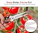Housolution Pruning Shears Father's Day Gifts, Heavy Duty Stainless Steel Ultra Sharp Multi-purpose Hand Pruner Scissors for Garden Harvesting Fruits Vegetables, Trimming Pklants Flowers, Black & Red