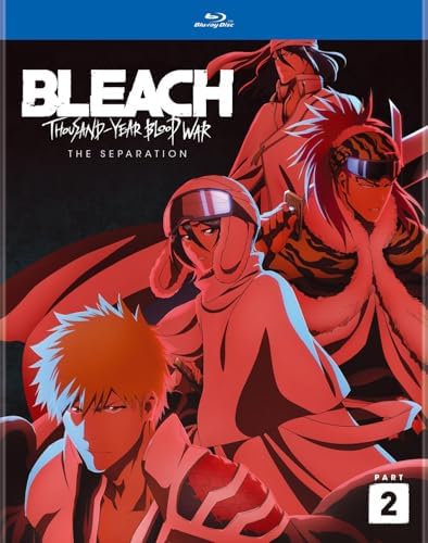 Amazon.com: Bleach the Movie 4: Hell Verse (DVD) : Johnny Yong