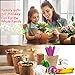 Spring Best Gift Vegetable Garden Seed Growing Starter Kit Indoor for Kids Easily Grow 5 Fresh Veggie Garden Kit Tomatoes,Purple Carrot,Rainbow Chard,Brussel Sprout Shipping from US