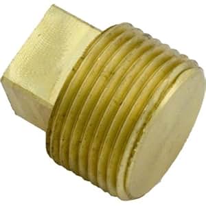 Amazon.com : Hayward CHXPLG1930 3/4-Inch Drain Plug
