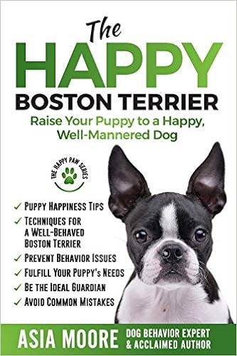 amazon boston terrier