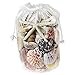 CYS EXCEL Colorful Sea Shells, Assorted Mixed Beach Seashells for Nautical Decor (1 Bag - Approximately 200 pcs)