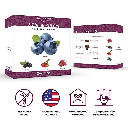 Nature's Blossom Fruit Growing Kit. Grow 4 Types of Berries from Seed