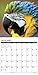 Parrots 2016 Calendar