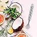Coconut Scraper, Kmeivol Coconut Meat Removal Knife, Set of 2 Stainless Steel Coconut Grater Slicer, Multi-Purpose Stainless Steel Planer