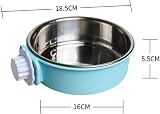 Clover 2-in-1 Stainless Steel Dog Bowl with Stand Small/Medium Dogs view 5