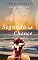 Livro Segunda Chance (Anjo da Guarda Livro 2)