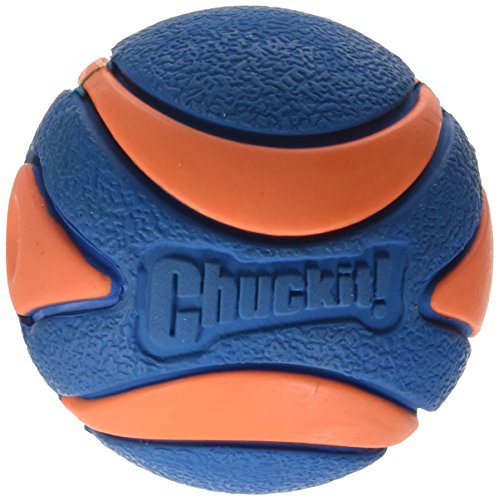 CHUCKIT! ULTRA SQUEAKER BALL