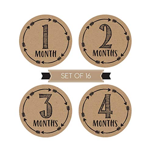 2 Milestone+Stickers+Monthly+Scrapbook+Registry