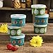 The Pioneer Woman Container Set (Round 13-ounce - Set of 6)