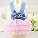 Howstar Pet Dress, Cute Halter Bowknot Tutu Dresses for Dog Puppy Lace Skirt Princess Dress (S, A)