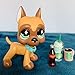 Judylovelps lps Great Dane Mask Custom Tan and Brown Green Snow Eyes Great Dane Dog with lps Accessories Coffee Drinks Cola Kids Gift