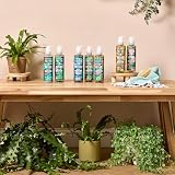 Faith In Nature Dragon Fruit Hand Wash 400 ml Neutrals Vegan Cruelty Free view 5