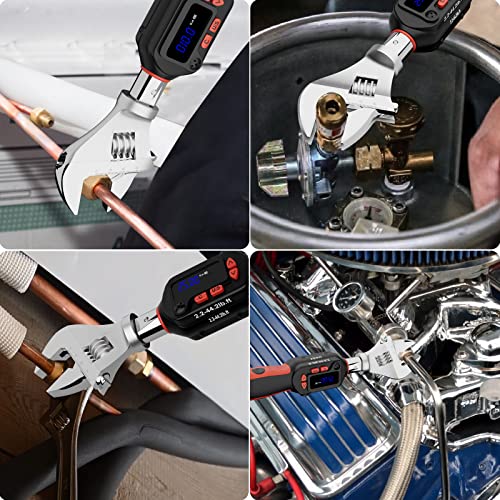 Leolee Adjustable Digital Torque Wrench (2.2 44.3 Ftlb/360Nm), 34mm