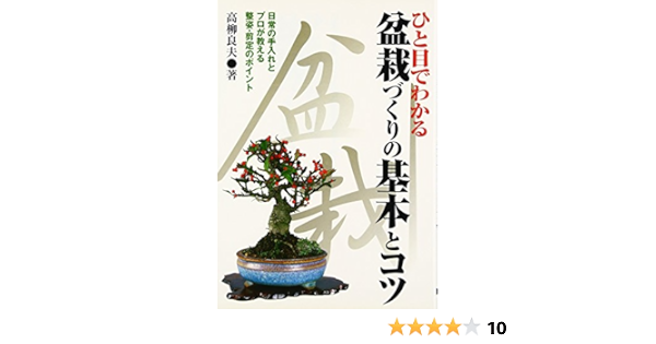 ひと目でわかる盆栽づくりの基本とコツ 日常の手入れとプロが教える整姿 剪定のポイント Amazon Com Books