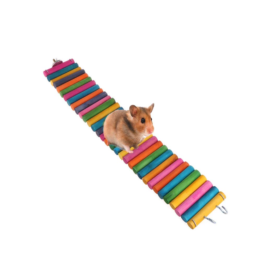 The 10 Best Small Animal Cage Ladder