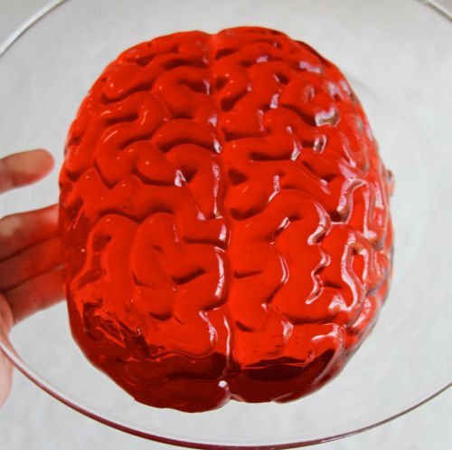 The Rubber Plantation TM 5054070342633 Brain Jelly Halloween Prop Gelatin/Jello Plastic Mould Party Table Decoration, Unisex-Adult, One Size