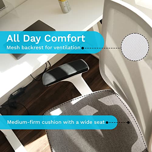 EasyErgo Apollo Ergonomic Chair Ergo Mesh Design for Computer Desk