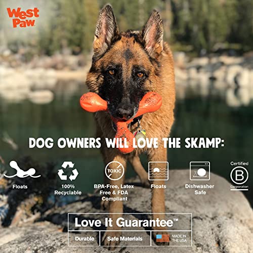 WEST PAW Zogoflex Air Skamp TugofWar Stick Dog Chew Toy Hollow