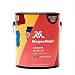 MagnaMagic/Active Wall Magnetic Wall Paint - One Gallon #GGAW710