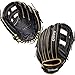 Wilson A450 Baseball Glove Series