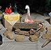Camp Discovery Indoor Campfire by 