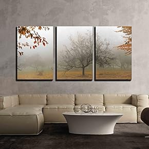 3 Piece Canvas Wall Art - Tree in a Fog.Apple Tree with Fallen Down Leaves - Modern Home Art Stretched and Framed Ready to Hang - 16"x24"x3 Panels