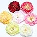 RoyaLily 4.7'' Poney Flower Wedding Hair Accessories Festival Hair Clips and Pin Party Brooch (Burgundy)