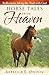 Horse Tales from Heaven: Reflections Along the Trail with God