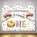 Mocsicka Pumpkin First Birthday Backdrop Autumn Fall Harvest Truck Car 1st Birthday Background 7x5ft Vinyl Fall Pumpkin First Birthday Party Backdrops