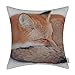 CaliTime Canvas Throw Pillow Cover Shell for Couch Sofa Home Decoration Animals Theme Wild Fox Sleeping 18 X 18 Inches