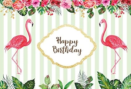 Amazon Com Laeacco Happy Birthday Photography Background 5x3ft