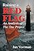 Raising a Red Flag: An Analysis of The One Project by 