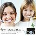 Teeth Whitening Activated Charcoal Powder with Xylitol - 2.2 oz Food Grade Formula from Organic Coconut Shell - Spearmint Flavor - Naturally Teeth Whitener Tooth Stain Remover - 60ML