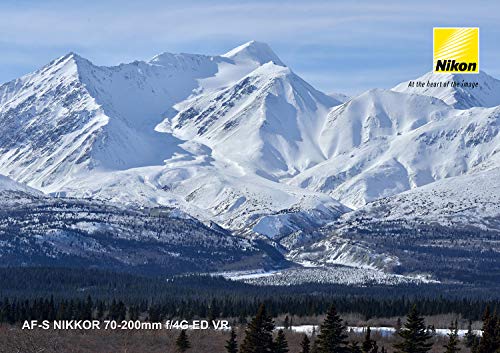 Nikon 70-200 mm/F 4,0G ED VR AF-S Objektiv (Nikon F-Anschluss,True) – Bild 7