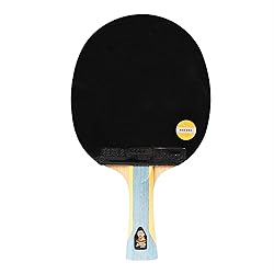 DHS Ping Pong Paddles Professional Table Tennis