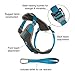 Kurgo Dog Harness for Large, Medium & Small Dogs, Reflective Harness for Running, Walking & Hiking, Everyday Adventure Pet Journey Air Style, Black, Blue, Red