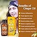 Ginger Oil 100% Pure Ginger Oil Organic 30ml/bottle (3PACK)