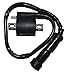 Ignition Coil Replace Yamaha OEM 4KJ-82310-10-00 3KJ-82310-10-00 3FA-82310-00-00