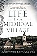 Life in a Medieval Village